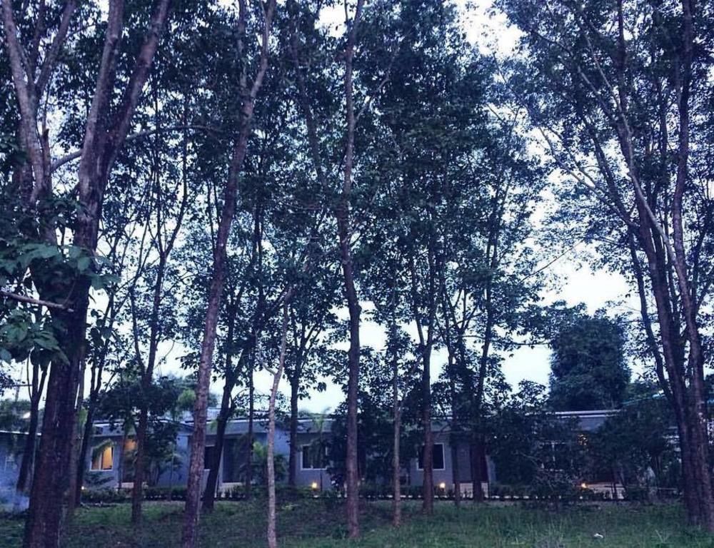 Saiyuan Garden Resort Rawai Kültér fotó